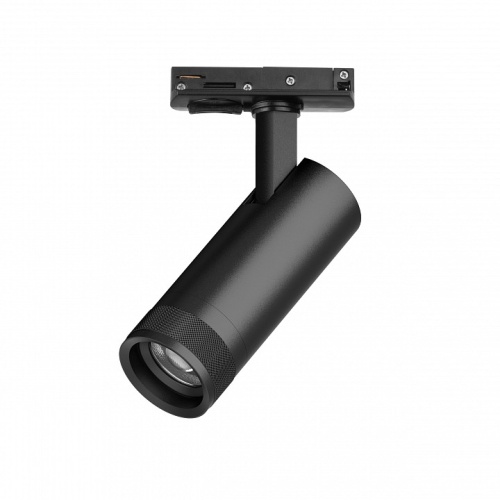 Светильник на штанге Lightstar Canno Pro C4127SS в Нижнем Новгороде фото 3