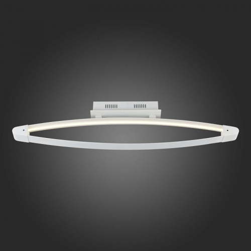 Накладной светильник ST-Luce SL920 SL920.102.01 в Нижнем Новгороде фото 3