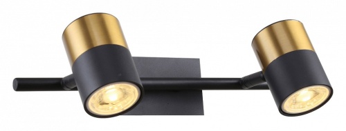 Бра F-promo Chart 3092-2W в Нижнем Новгороде фото 5