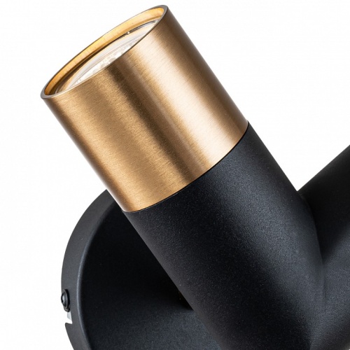 Бра Indigo Doppio 11036/2W Black в Нижнем Новгороде фото 2