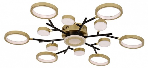 Потолочная люстра F-promo Hybrid 4686-13C в Нижнем Новгороде фото 6