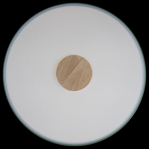 Накладной светильник Loft it Axel 2 10003/24 Green в Нижнем Новгороде фото 2