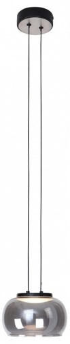 Подвесной светильник Favourite Trendig 4376-1P в Дудинке фото 5