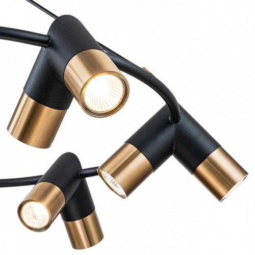 Подвесная люстра Indigo Doppio 11036/12P Black в Нижнем Новгороде фото 3