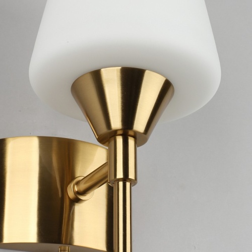 Бра Aployt Lyus APL.840.01.01 в Нижнем Новгороде фото 14