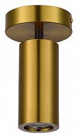 Светильник на штанге ST-Luce Talia SL1215.402.01 в Качканаре