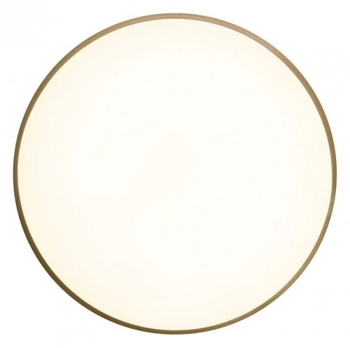 Накладной светильник Zortes Gabby ZRS.90610.50 в Нижнем Новгороде фото 10