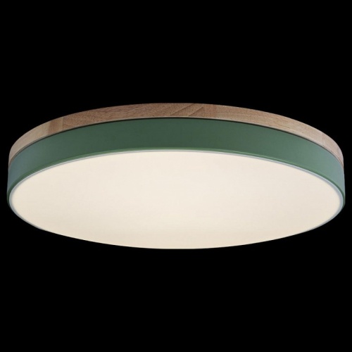 Накладной светильник Loft it Axel 10001/36 Green в Нижнем Новгороде фото 3