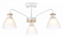 Люстра на штанге Ambrella Light TR TR9562 в Нижнем Новгороде