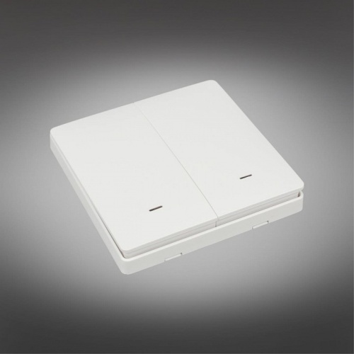 Выключатель беспроводной двухклавишный Aployt Magnetic track 220 APL.0190.00.02 в Нижнем Новгороде фото 10