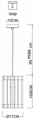 Подвесной светильник Arte Lamp Caravaggio A1059SP-1CC в Нижнем Новгороде фото 2