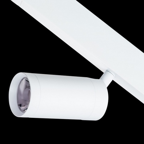 Светильник на штанге Lightstar Teta 205026 в Нижнем Новгороде фото 4