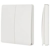 Выключатель беспроводной  двухклавишный Arlight TUYA 031685 в Нижнем Новгороде