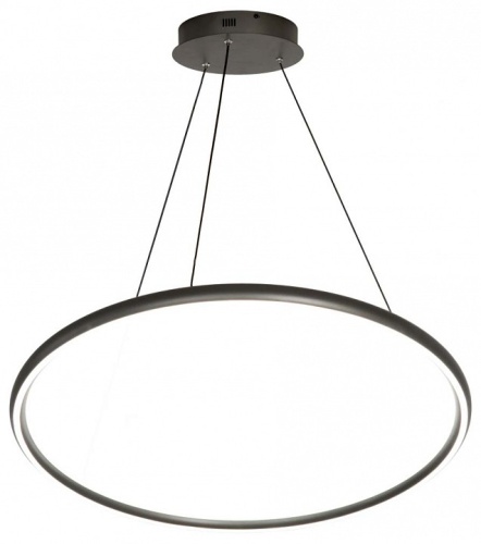 Подвесной светильник Lussole CUSTER LSP-7423 в Нижнем Новгороде