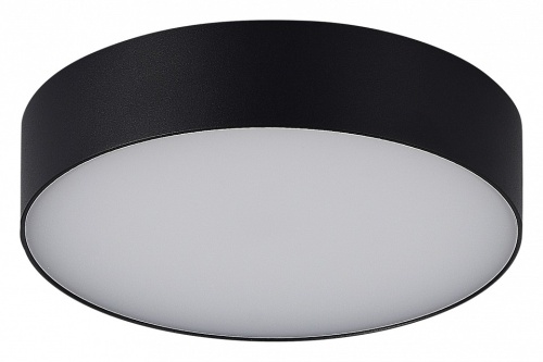 Накладной светильник ST-Luce Sun SL9518.402.01 в Нижнем Новгороде