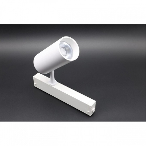 Светильник на штанге Aployt Magnetic track 220 APL.0205.10.20 в Нижнем Новгороде фото 7