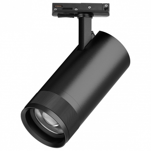 Светильник на штанге Lightstar Canno Pro C4307SS в Нижнем Новгороде