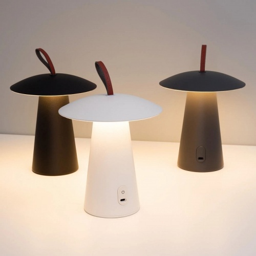 Настольная лампа декоративная Arlight SP-PATIO 030051 в Нижнем Новгороде фото 7