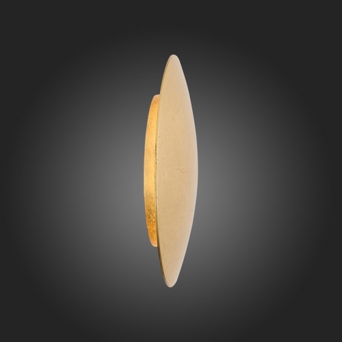 Накладной светильник ST-Luce Aureo SL457.211.01 в Нижнем Новгороде фото 4