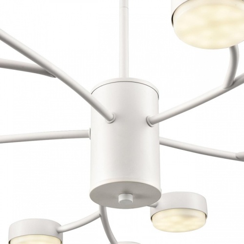 Люстра на штанге Lumion TORINA 8265/15 в Нижнем Новгороде фото 8