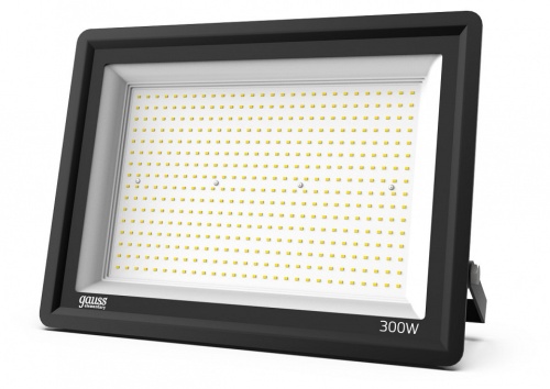 Настенно-потолочный прожектор Gauss  GFD00301 в Нижнем Новгороде