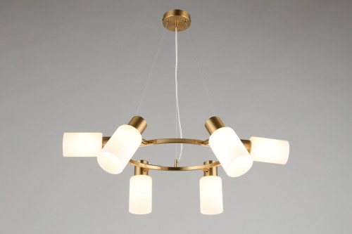 Подвесная люстра Omnilux Ales OML-69103-06 в Нижнем Новгороде фото 4