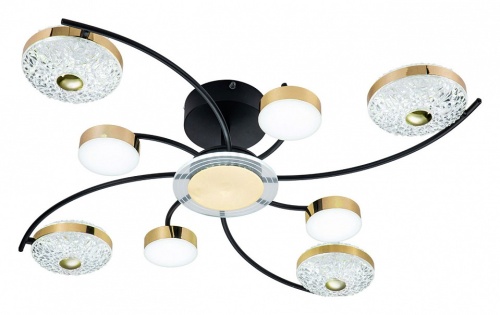 Потолочная люстра Escada Liberta 10208/8LED в Коркино фото 6