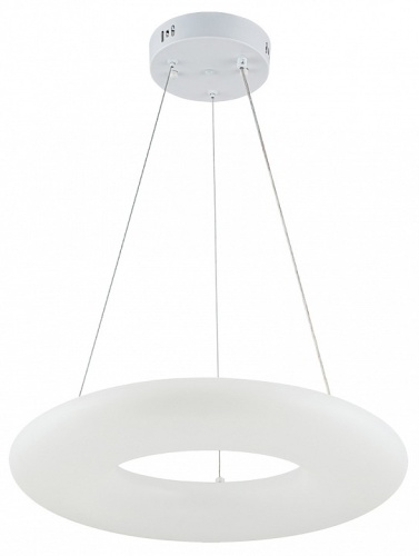 Подвесной светильник Escada Soft 10258/1LED в Яранске фото 8