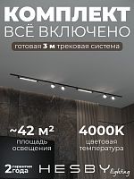 Комплект трековый Hesby Lighting Skylite №14 HSBL_kompl_S014_VI3B4K в Нижнем Новгороде