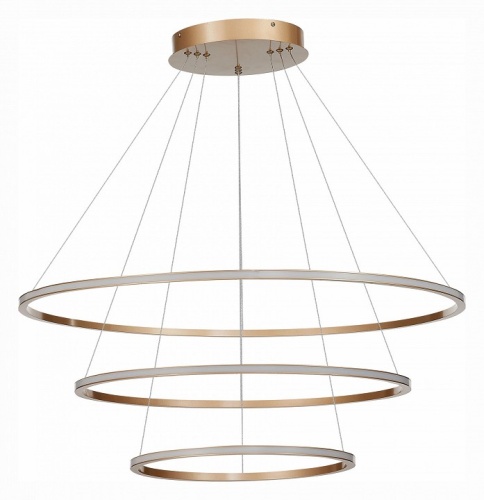 Подвесной светильник ST-Luce ST604 OUT ST604.243.114 в Нижнем Новгороде фото 3