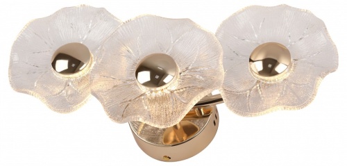 Накладной светильник Rivoli Shannon Б0061948 в Нижнем Новгороде фото 3