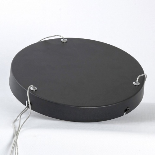 Подвесной светильник Lussole HARDIN LSP-7427 в Нижнем Новгороде фото 2