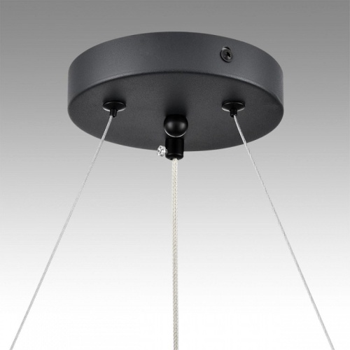 Подвесная люстра Lumion Luazana 8242/6 в Нижнем Новгороде фото 7