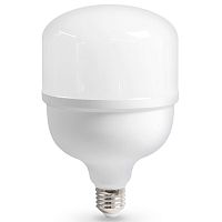 Лампа светодиодная Ambrella Light E27-E40 E27, E40 40Вт 6400K 1204006 в Нижнем Новгороде