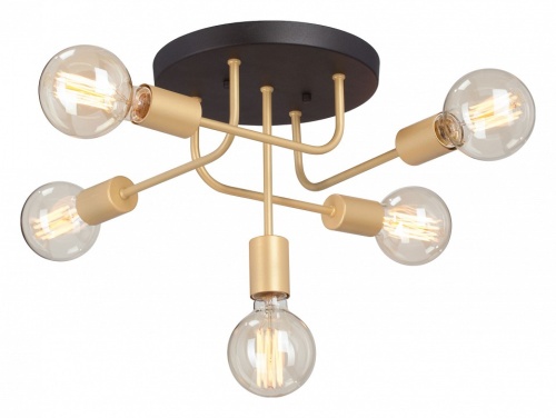 Потолочная люстра Vitaluce V3998 V3998-8/5PL в Нижнем Новгороде