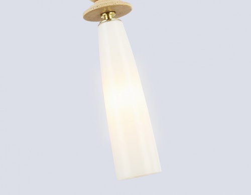 Подвесной светильник Ambrella Light LH LH75365 в Нижнем Новгороде фото 4