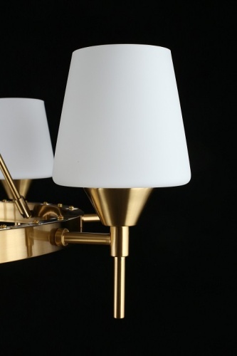 Подвесная люстра Aployt Lyus APL.840.03.08 в Нижнем Новгороде фото 16