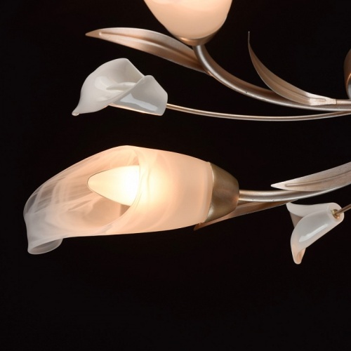 Потолочная люстра MW-Light Восторг 19 242016205 в Нижнем Новгороде фото 13