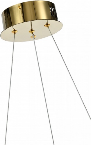 Подвесной светильник Zortes Dulana ZRS.1211.50 в Нижнем Новгороде фото 2