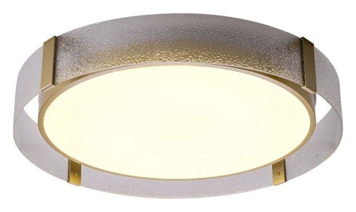 Накладной светильник Zortes Gerda ZRS.1097.60 в Нижнем Новгороде фото 3