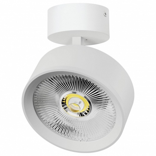 Спот Lightstar Alta Pro A5736SO в Нижнем Новгороде