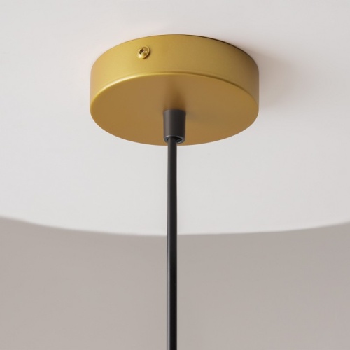 Подвесной светильник Maytoni Telford P362PL-01G в Нижнем Новгороде фото 4