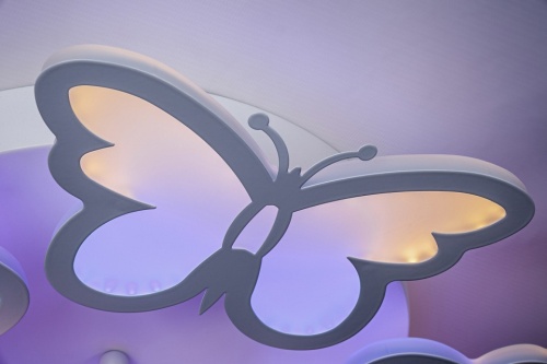 Накладной светильник Escada Butterfly 10205/5LED в Нижнем Новгороде фото 3