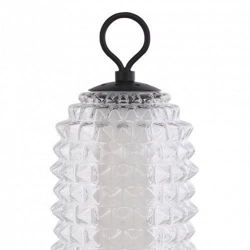 Настольная лампа декоративная ST-Luce SAGUARO SL6144.404.01 в Нижнем Новгороде фото 2