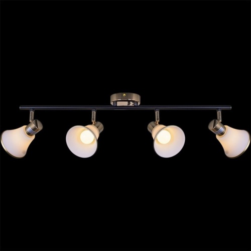 Люстра на штанге  05901-0.8-04 BK+FGD в Нижнем Новгороде фото 4