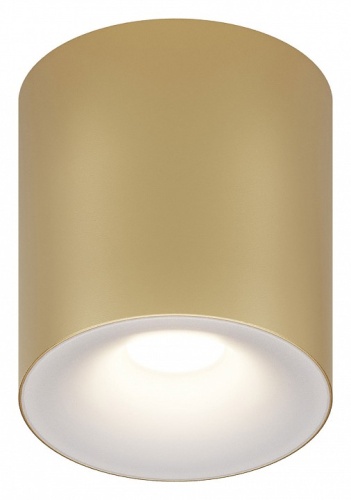 Накладной светильник Maytoni Spark C094-GU10-MG в Ермолино