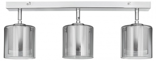 Спот 33 идеи WLL.102 WLL.102.03.17.CH-S25GR в Нижнем Новгороде фото 3