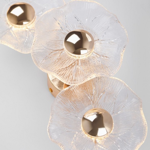 Накладной светильник Rivoli Shannon Б0061948 в Нижнем Новгороде фото 14