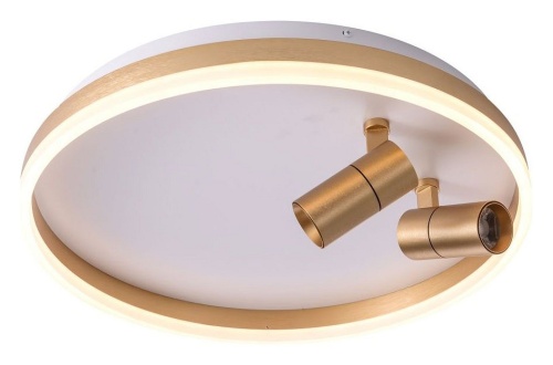 Накладной светильник Zortes Raizy ZRS.1888.02 в Нижнем Новгороде фото 9