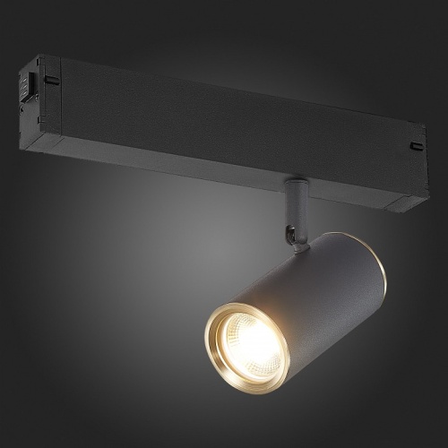 Светильник на штанге ST-Luce SKYLINE 220 ST504.436.01 в Нижнем Новгороде фото 2